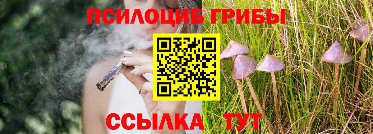 Галлюциногенные грибы мицелий Лыткарино